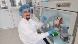 Белгородские генетики создали новые тест-системы для выявления мутаций у КРС