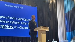 Глава администрации Яковлевского городского округа Олег Медведев представил отчёт о работе за год
