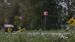 5,5 тысячи знаков направления поворота установили на дорогах Белгородской области
