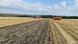 Белгородцы написали Всероссийский агродиктант