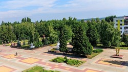 «Декада территорий» стартует в Яковлевском городском округе