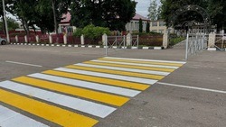 119 пешеходных переходов около белгородских школ стали безопаснее  