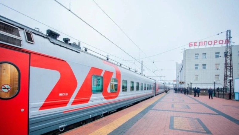 226 домашних животных перевезли без хозяев с вокзала Белгорода 