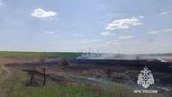 Белгородские пожарные выезжали шесть раз за сутки для тушения ландшафтных пожаров 