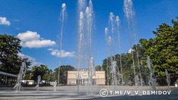 Мэр Белгорода рассказал о новых деревьях в парке имени Ленина