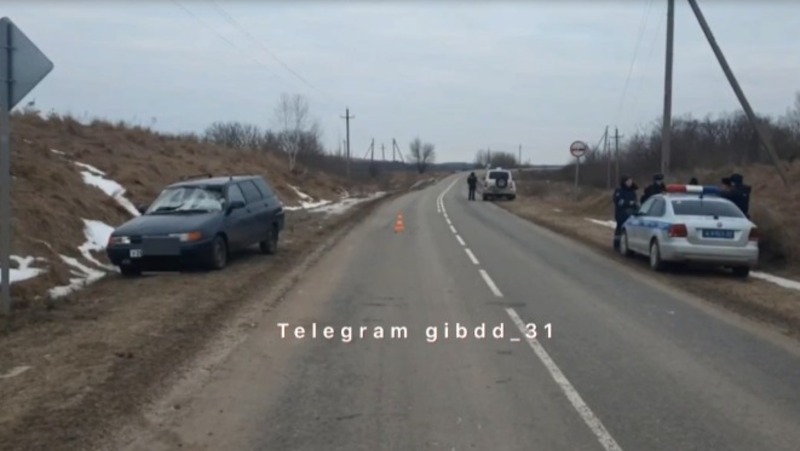 52-летний водитель сбил идущую по краю проезжей части женщину в Яковлевском городском округе 