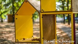 Новые кормушки для птиц установили в Белгороде в парке имени Ленина