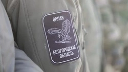 Гладков рассказал о раненых бойцах и героизме защитников Белгородской области