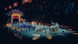 Международный фестиваль циркового искусства «Без границ» пройдёт в стране впервые