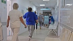 Вячеслав Гладков сообщил о проведении почти 770 операций по эндопротезированию суставов