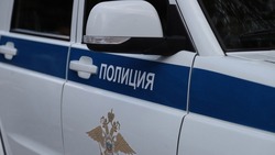 Полицейские раскрыли кражу декоративных растений в Белгороде 