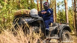В Белгороде для борьбы с ландшафтными пожарами развернули сеть из 33 видеокамер