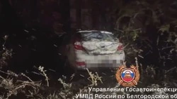 Иномарка опрокинулась в кювет на трассе в Яковлевском округе