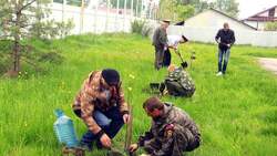 Яковлевские полицейские посадили деревья в рамках акции «Вахта памяти» в селе Гостищево