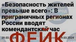 Власти опровергли фейк о введении комендантского часа в Белгородской области