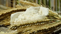 Мукомольные и хлебопекарные предприятия Белгородской области получат субсидии