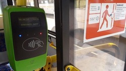 Белгородские многодетные семьи смогут получить компенсацию расходов на проезд детей к месту учёбы
