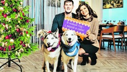 Молодая семья Юргулевич из города Строителя встречает Новый год в домашней обстановке