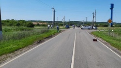 Два автомобиля столкнулись на автодороге «Крапивенские Дворы – Кривцово — Шляхово»