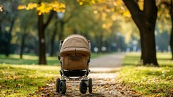 Белгородцы будут получать единое пособие в новом размере с 1 января 2025 года