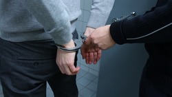 Правоохранители РФ назвали сумму ущерба от преступлений в стране