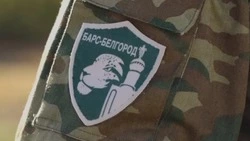 Вячеслав Гладков сообщил о передаче 44 единиц новой техники «БАРС-Белгород»
