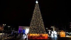 Новую новогоднюю ель установили в парке имени Ленина в Белгороде