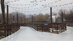 Каток временно закрыли в Белгороде в парке имени Ленина 