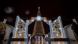 Большинство россиян проведут новогоднюю ночь дома