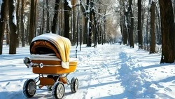22 девочки с именем Татьяна зарегистрировали в регионе в 2024 году 