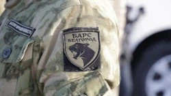 Вячеслав Гладков сообщил о завершении выдачи летней формы отрядам самообороны