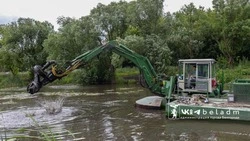 Очистка района слияния двух рек стартовала в Белгороде