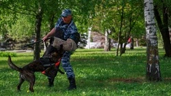 Материал