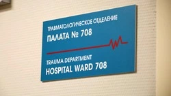 Андрей Иконников анонсировал график работы медиков на новогодних праздниках