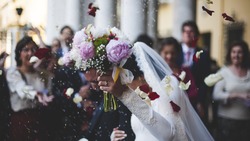 Росстат сообщил об уменьшении количества свадеб в стране