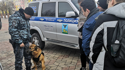 Яковлевские полицейские познакомили школьников со своей профессией