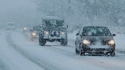 МЧС предупредило белгородцев о снегопаде с порывами ветра до 20 м/с