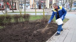 Вячеслав Гладков призвал белгородцев голосовать за дизайн-проекты благоустройства