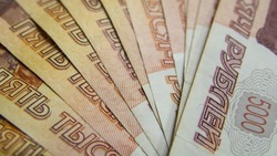 Социальные предприниматели Белгородской области смогут получить гранты до 500 тысяч рублей