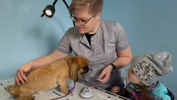 Жители Белгородской области смогут бесплатно вакцинировать домашних животных от бешенства