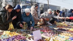 Вячеслав Гладков призвал расширить ассортимент на сельскохозяйственных ярмарках выходного дня