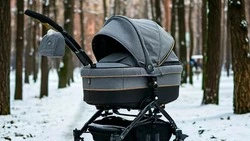 Белгородцы оформили свыше 5500 сертификатов на маткапитал в 2024 году