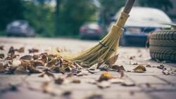 Новые правила благоустройства запретили убирать листву в парках Белгорода