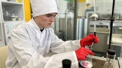 Региональный этап чемпионата по профмастерству стартует в Белгородской области 