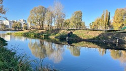 Власти обсудили благоустройство набережной Северского Донца в Белгороде 