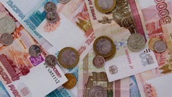 Субъекты малого и среднего бизнеса в Белгородской области получили микрозаймов на 300,5 млн рублей