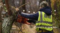 Коммунальные службы устраняют последствия сильного ветра в Белгороде 