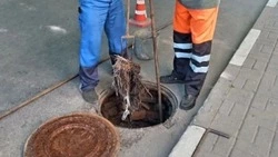 Белгородский водоканал получает до 80 заявок о засорах в сутки 