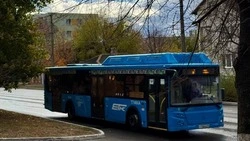 Остановка в Шопино по пути следования в Белгород заработает с 17 января 