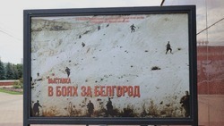 Жители региона смогут увидеть фотодокументальную выставку «В боях за Белгород»